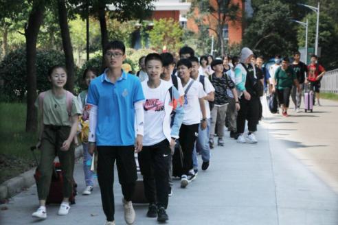 电竞实时数据网