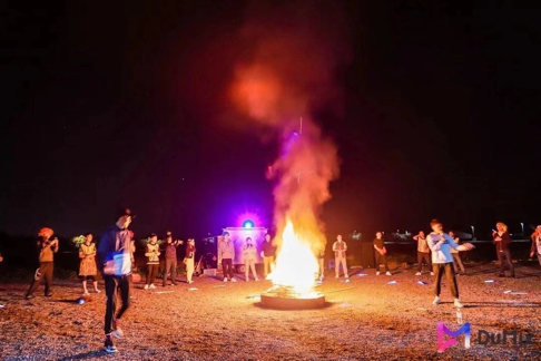 电竞实时数据网