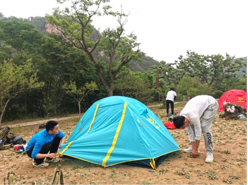 电竞实时数据网