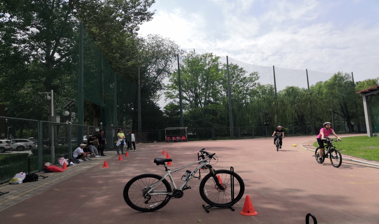 电竞实时数据网