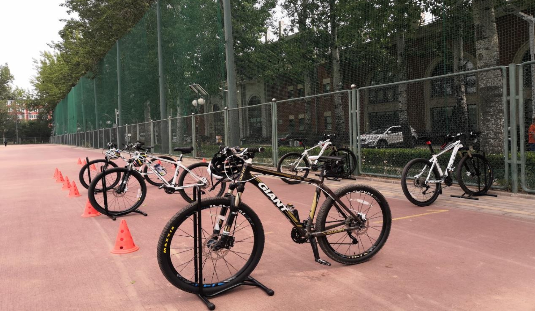 电竞实时数据网