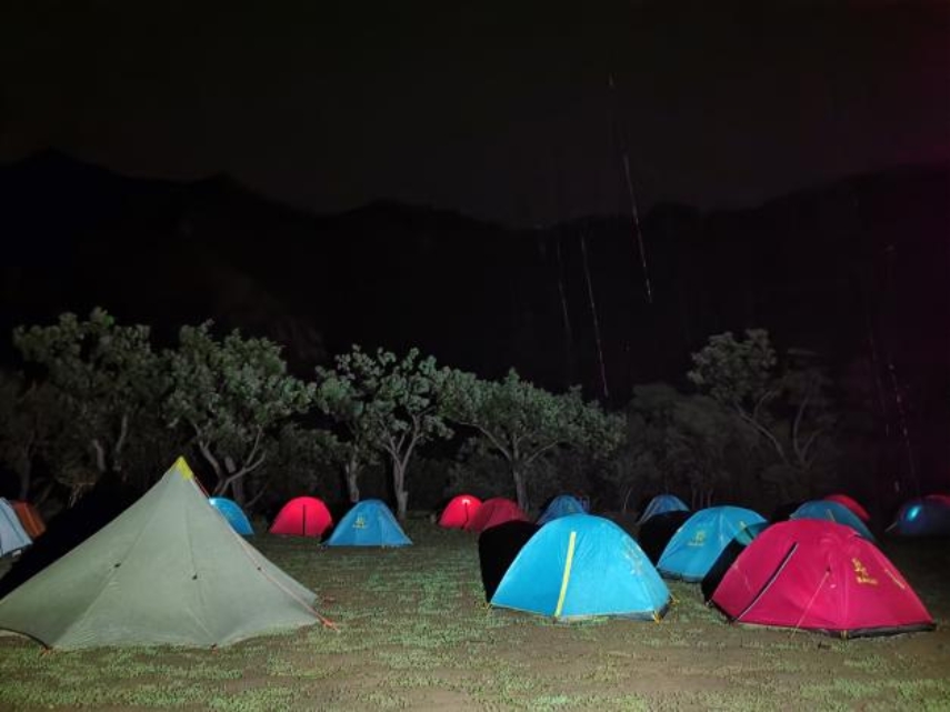 电竞实时数据网