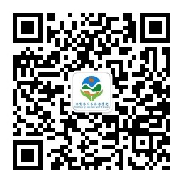 电竞实时数据网