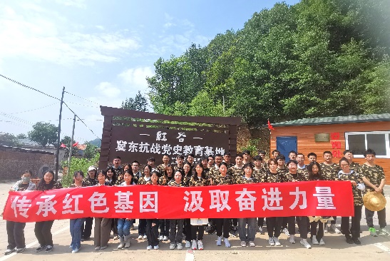 电竞实时数据网