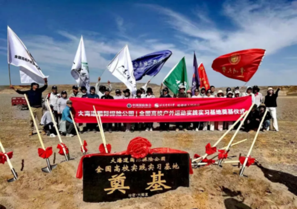 电竞实时数据网