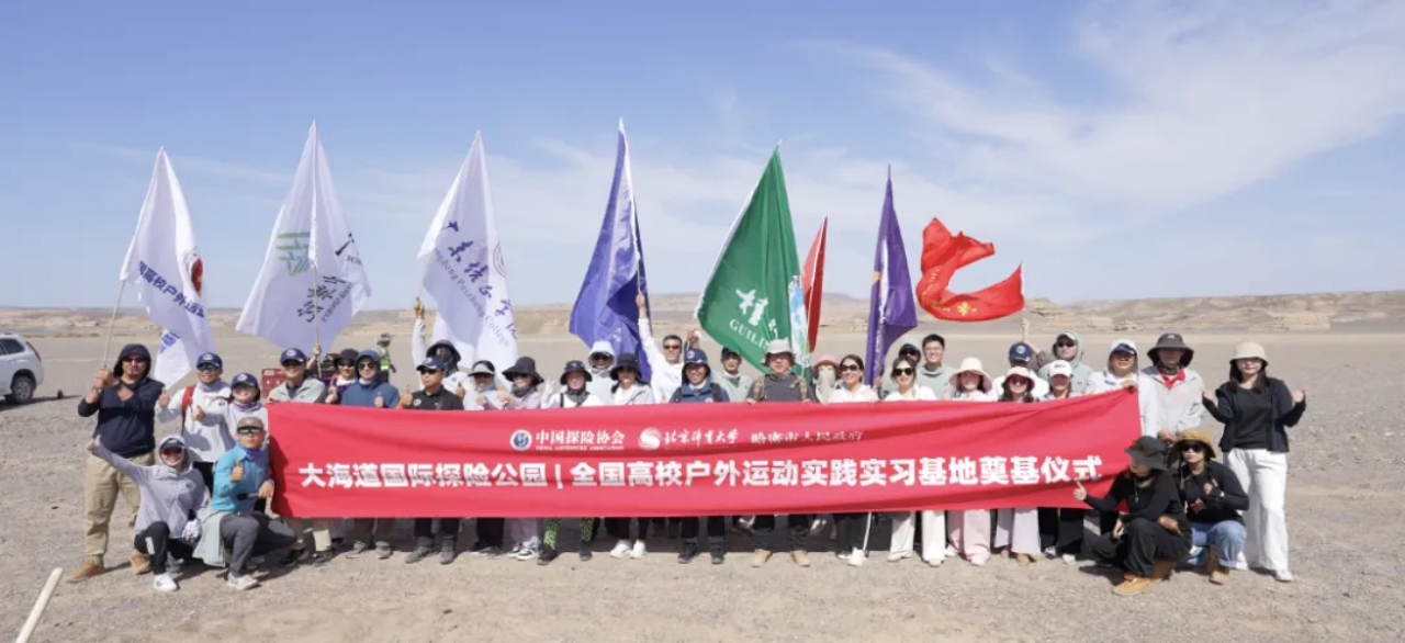电竞实时数据网