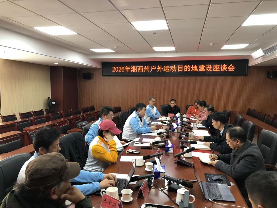 电竞实时数据网