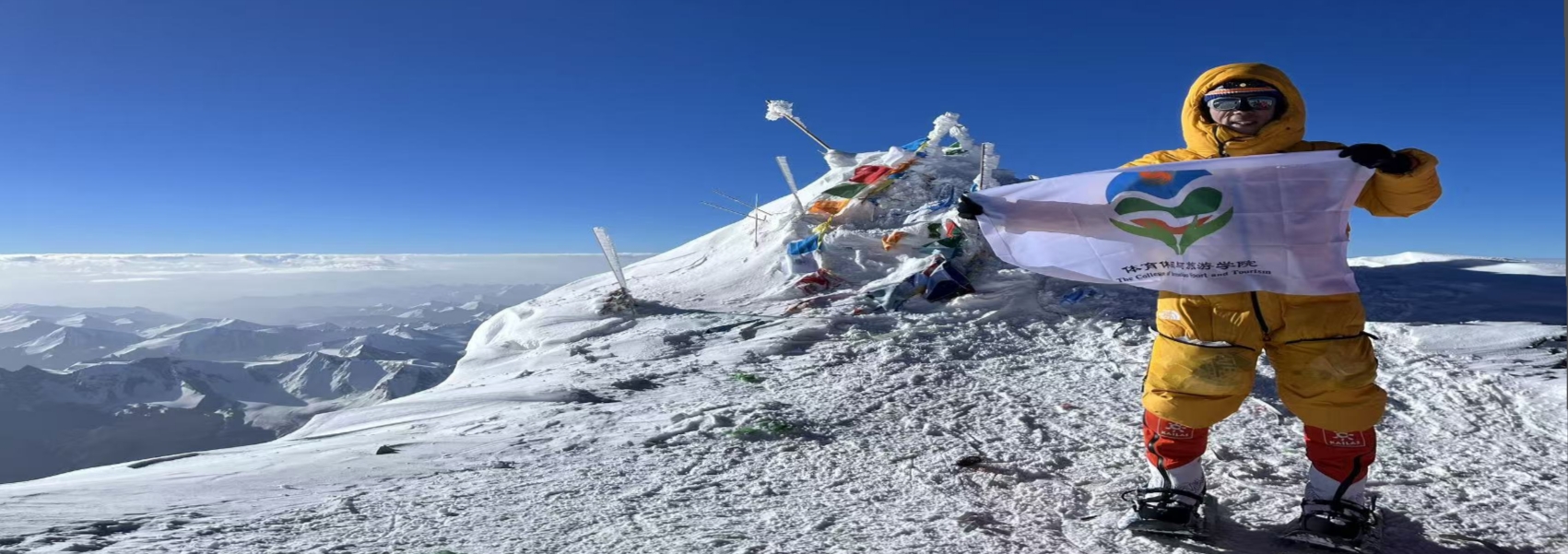 电竞实时数据网