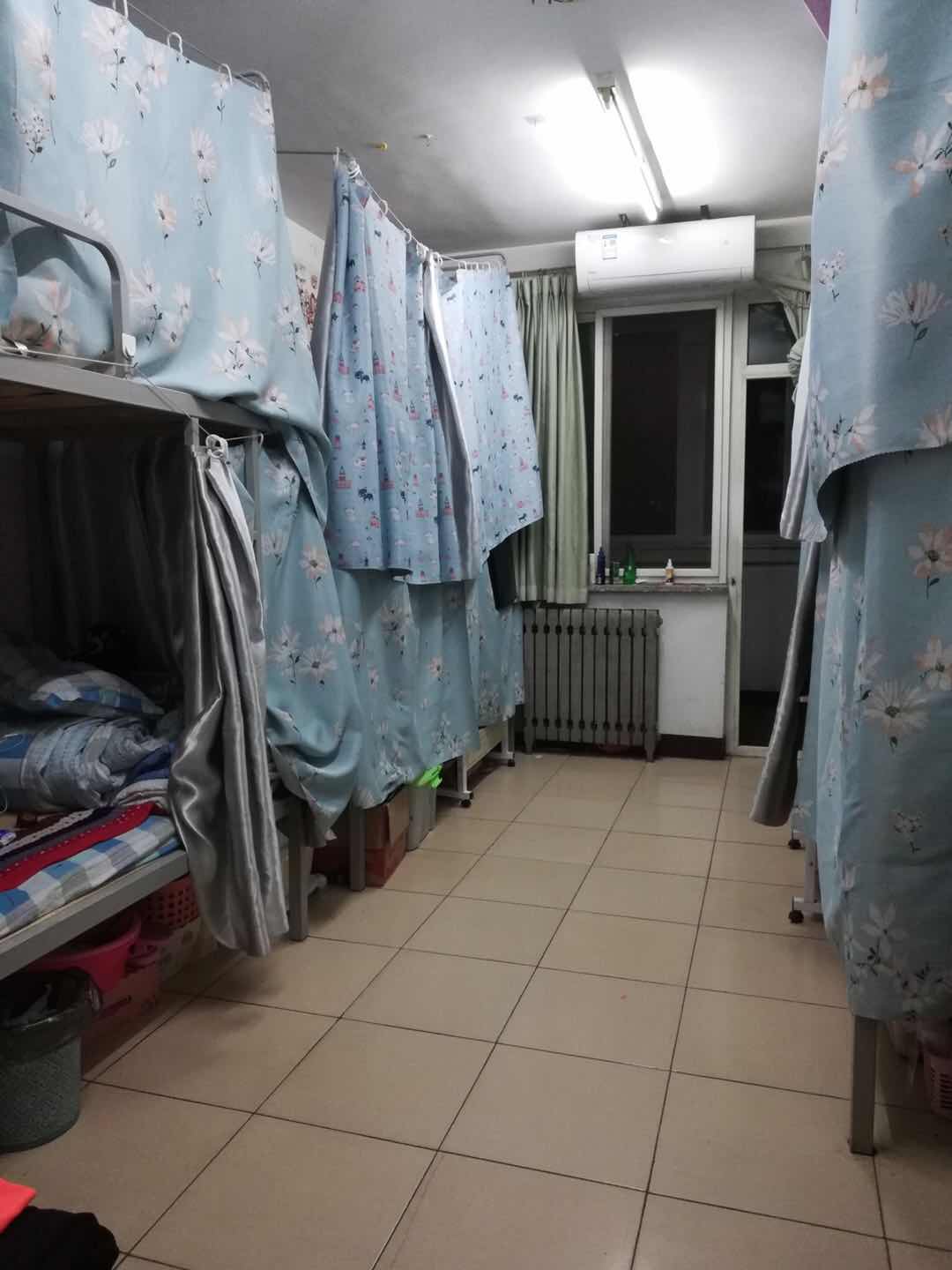 电竞实时数据网